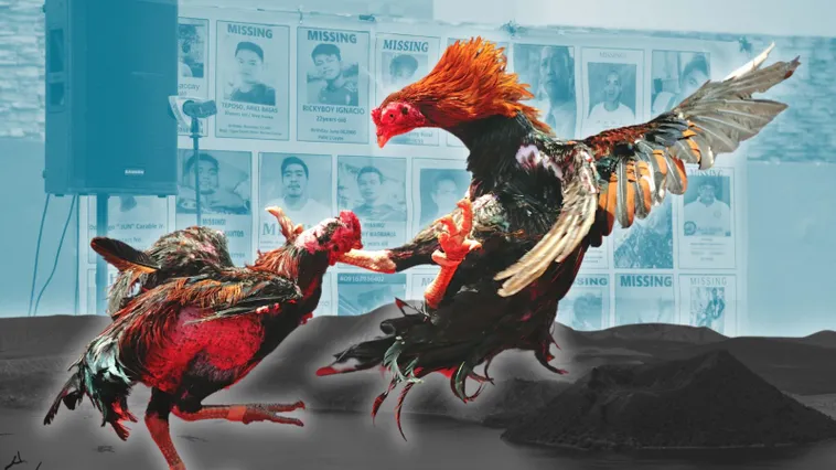 Cách Chơi Đá Gà Sabong Tại 8Day Dễ Thắng Lớn 2025